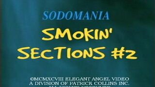 Sodomania Smokin' Sections 2