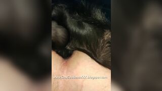 My first amateur knot with my anal dog