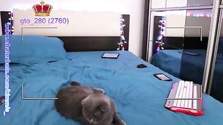 webcam dildo de vidrio anal  la del gato