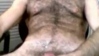 Very hairy daddy bear on cam