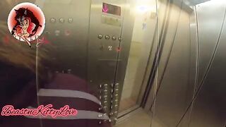 BeastnKittyLovexox - Kitty Sucking Dick On The Elevator