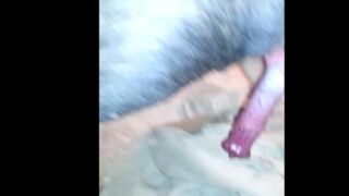 My Friend's First Time Dog Porn Amateur Teen Zoo Knot 9